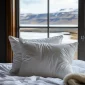 icelandic eiderdown pillow