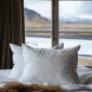 icelandic eiderdown pillow for bedroom