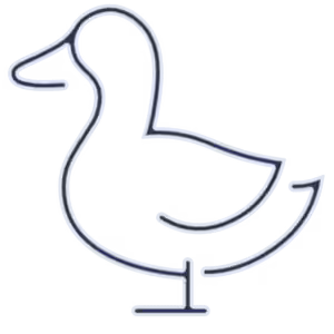 Sustainable & Animal Friendly