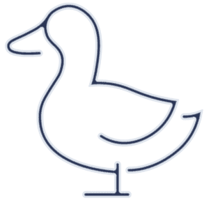 Sustainable & Animal Friendly