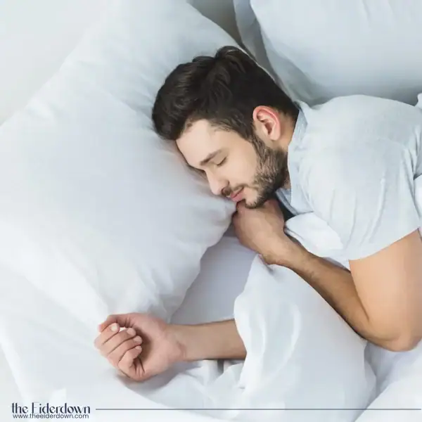 eiderdown_pillow_online_buy
