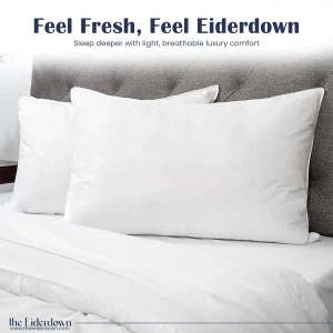 icelandic_eiderdown_comforter_pillow_online