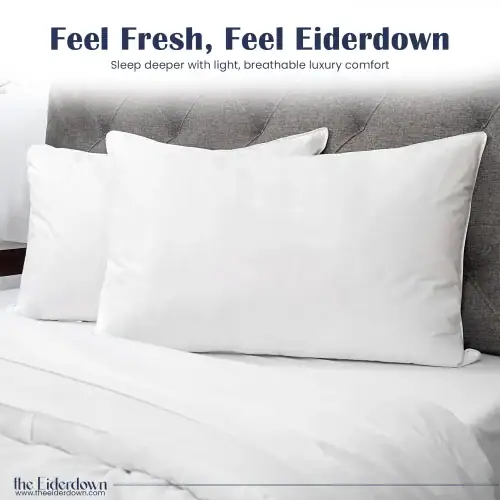 icelandic_eiderdown_comforter_pillow_online