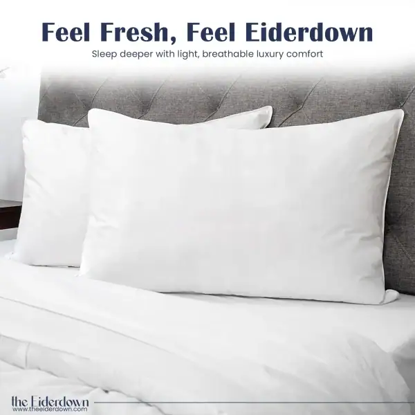 icelandic_eiderdown_comforter_pillow_online