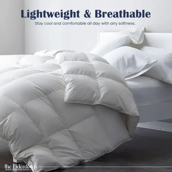 lightweight_breathable_eiderdown_comforter_queen