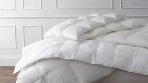 Eiderdown-Ethical-Sourcing-Sustainability