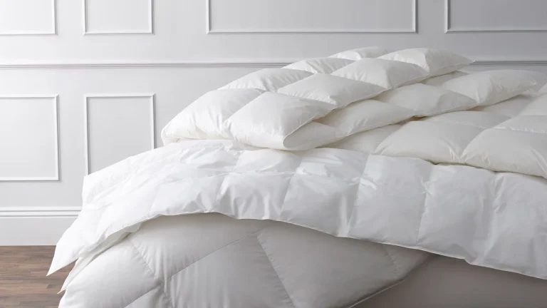 Eiderdown-Ethical-Sourcing-Sustainability