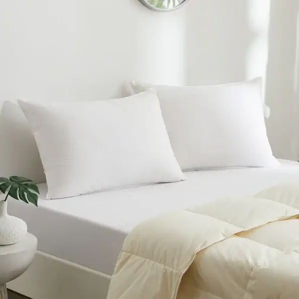 Icelandic Eiderdown Pillow European Size