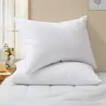 Icelandic Eiderdown Pillow