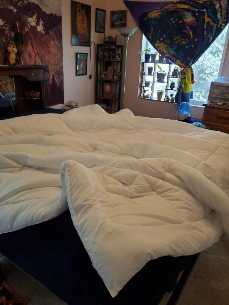 Image #1 from Mary Phillips