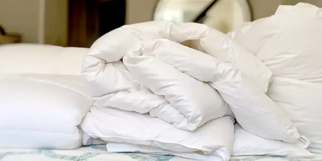 comforter eiderdown online