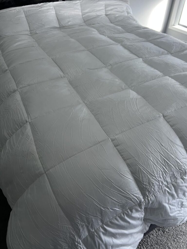 Image #1 from Ronda paterson