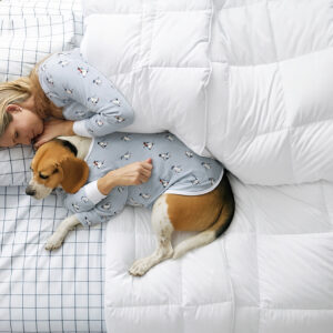 Icelandic Eiderdown Comforter