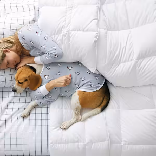 Icelandic Eiderdown Comforter