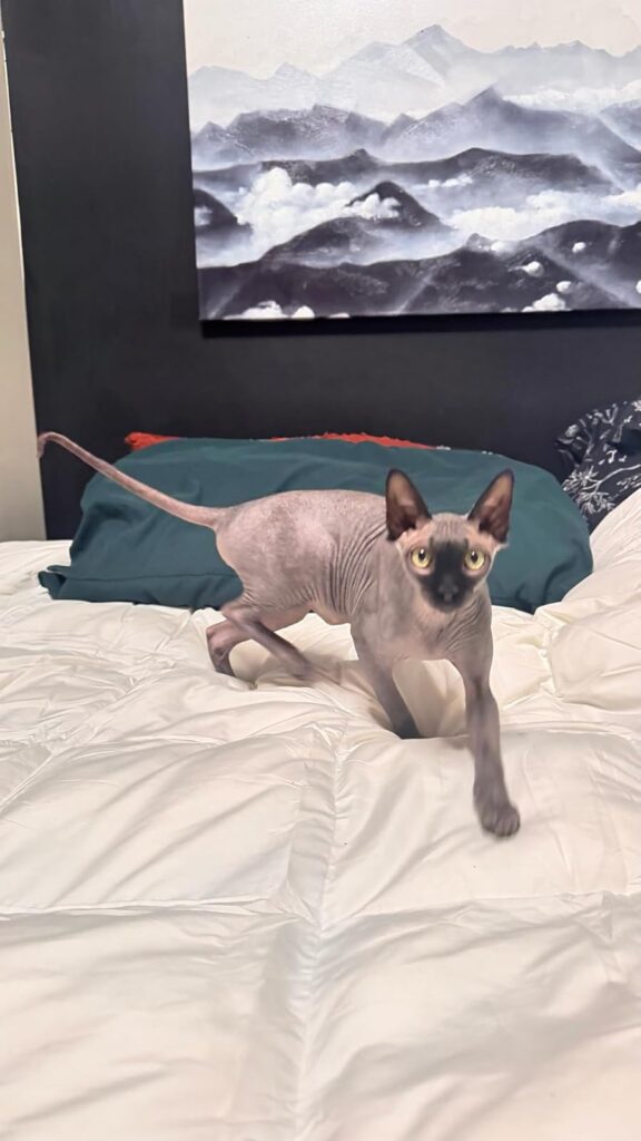 Image #1 from Ashleigh Armstrong