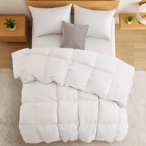 comfortable comforter for winters Cloud Comforter