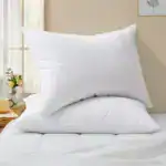 Icelandic Eiderdown Pillow